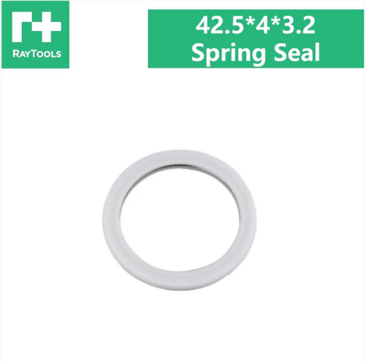 Raytools Spring Seal 42.5*4*3.2